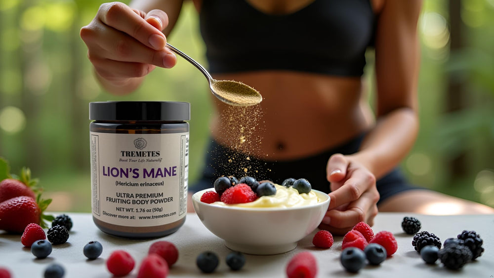 Tremetes Lion’s Mane powder with scoop for half-teaspoon daily use.