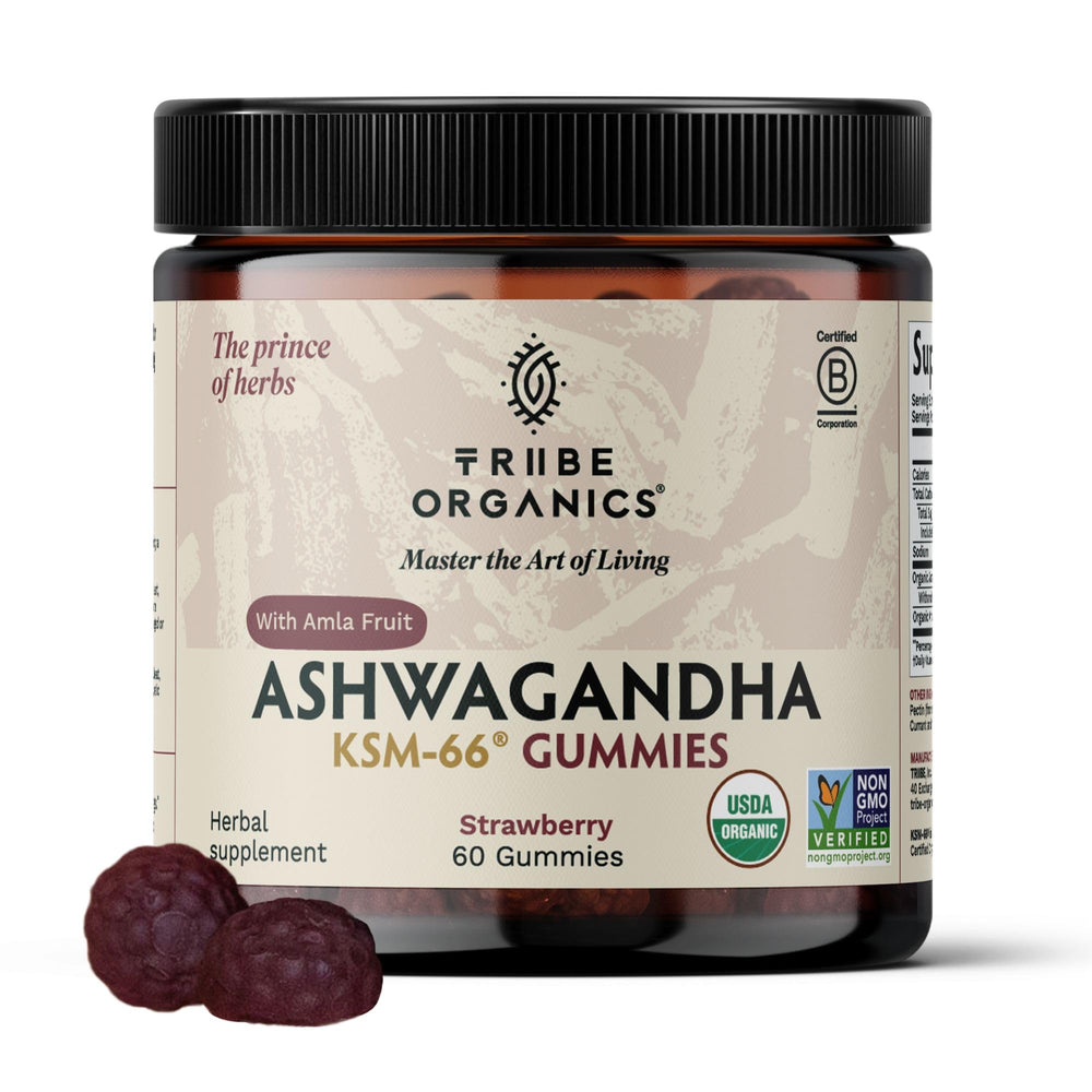TRIBE ORGANICS Ashwagandha KSM-66 gummies bottle for focus and mood support