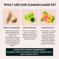 TRIBE ORGANICS Ashwagandha KSM-66 gummies label highlights organic vegan formula