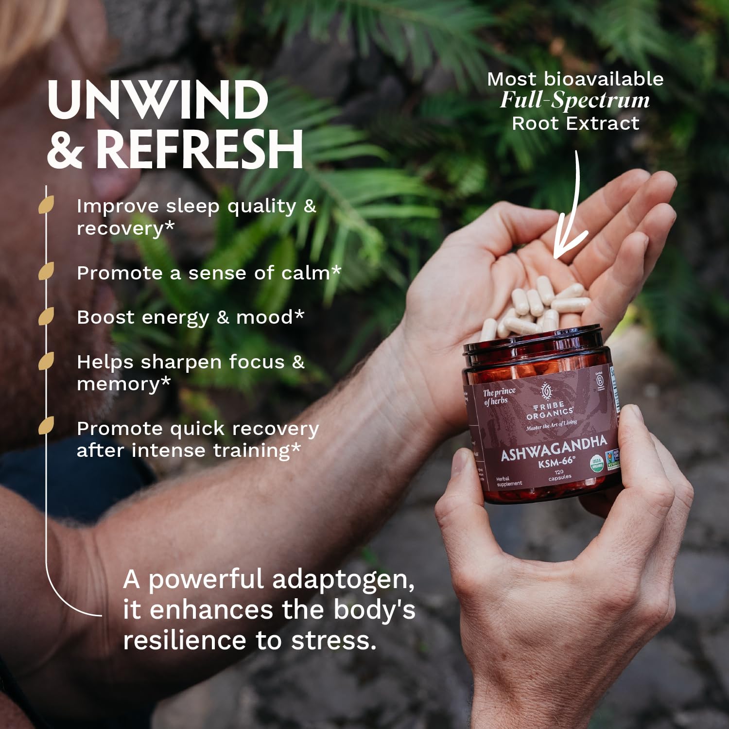 TRIBE ORGANICS grass-fed milk fortification visual on capsule bottle