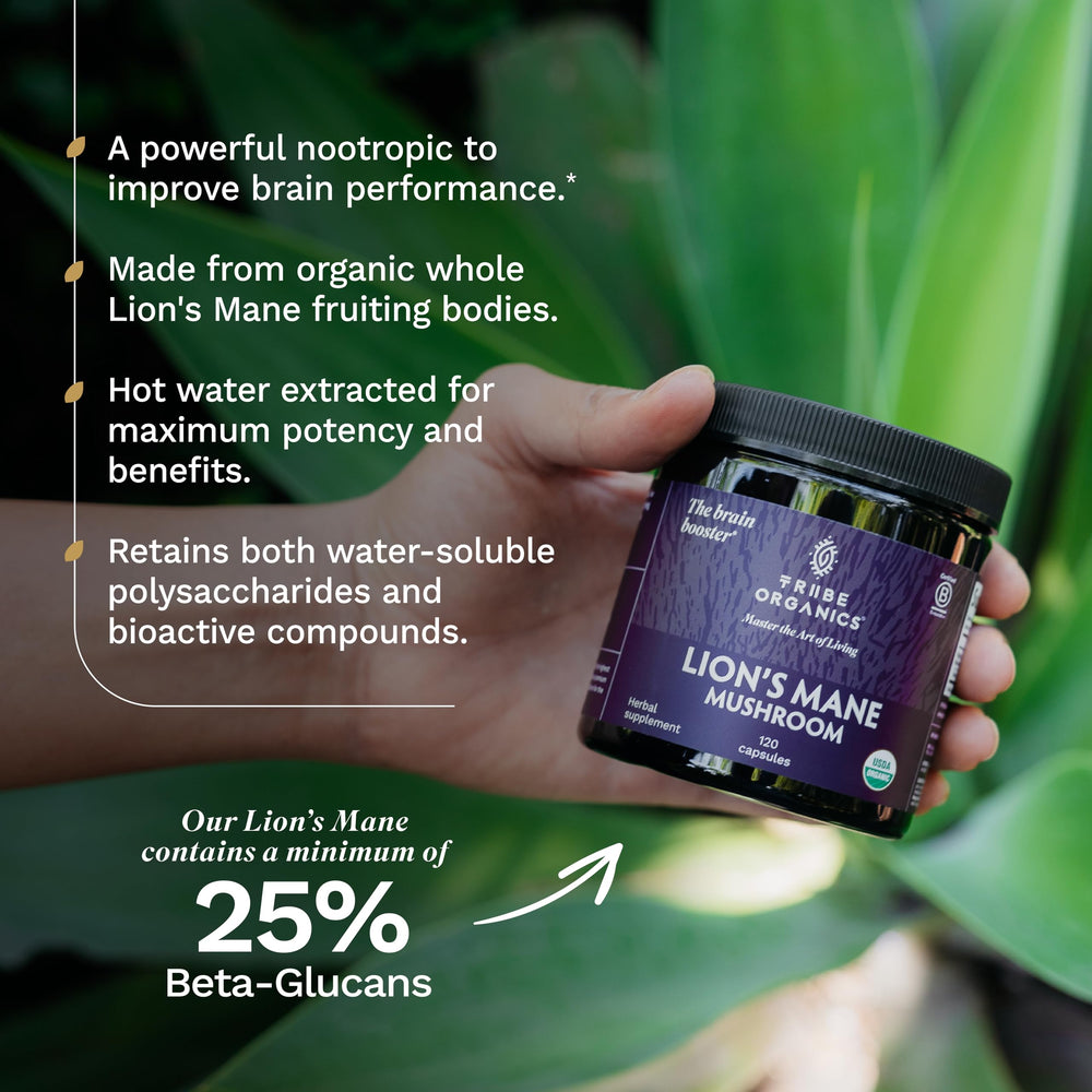 TRIBE ORGANICS Lion's Mane intake boosts focus during study sessions