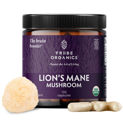TRIBE ORGANICS Lion's Mane bottle front view supporting focus and mental clarity