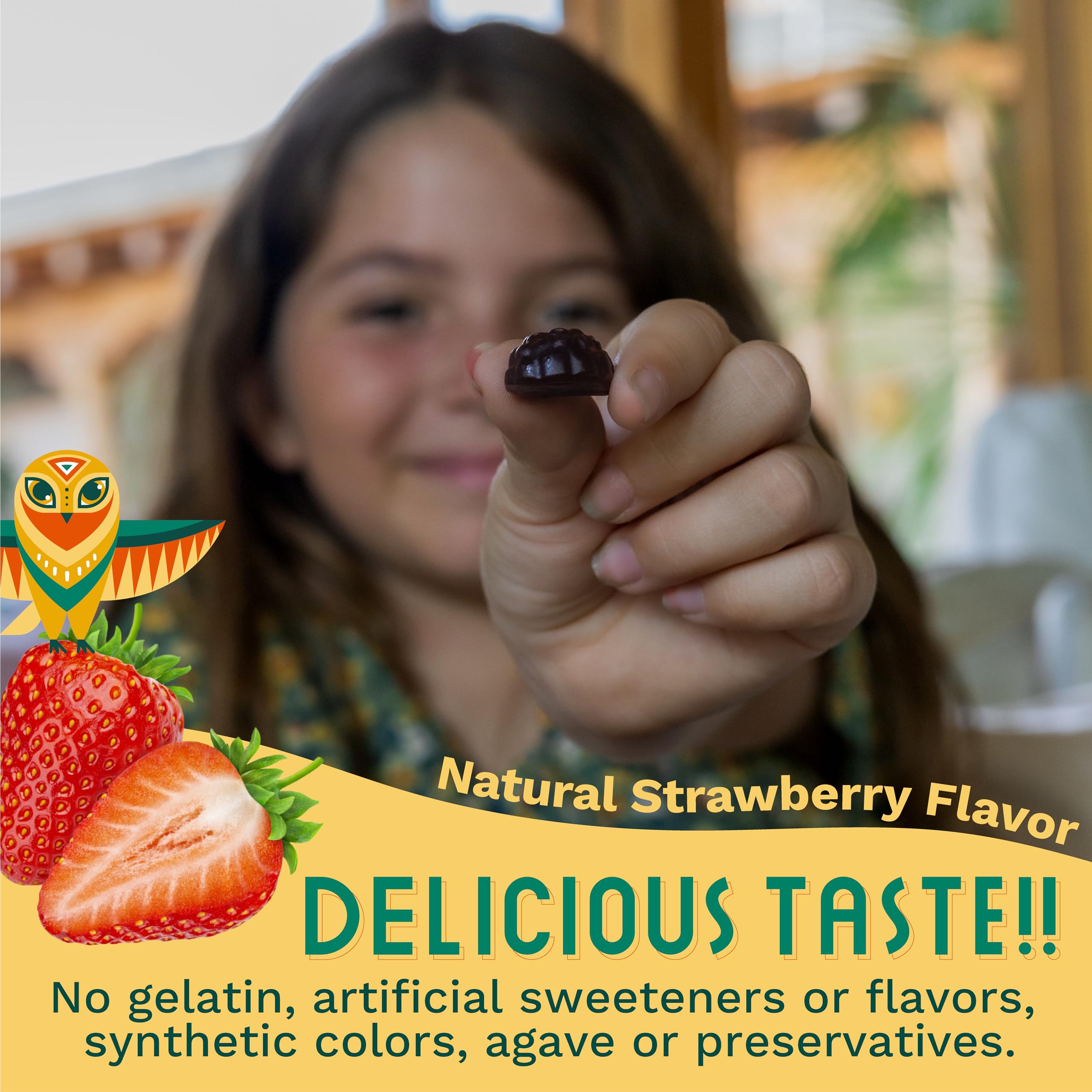 TRIBE ORGANICS ingredients map highlights Ashwagandha and Amla for kids.