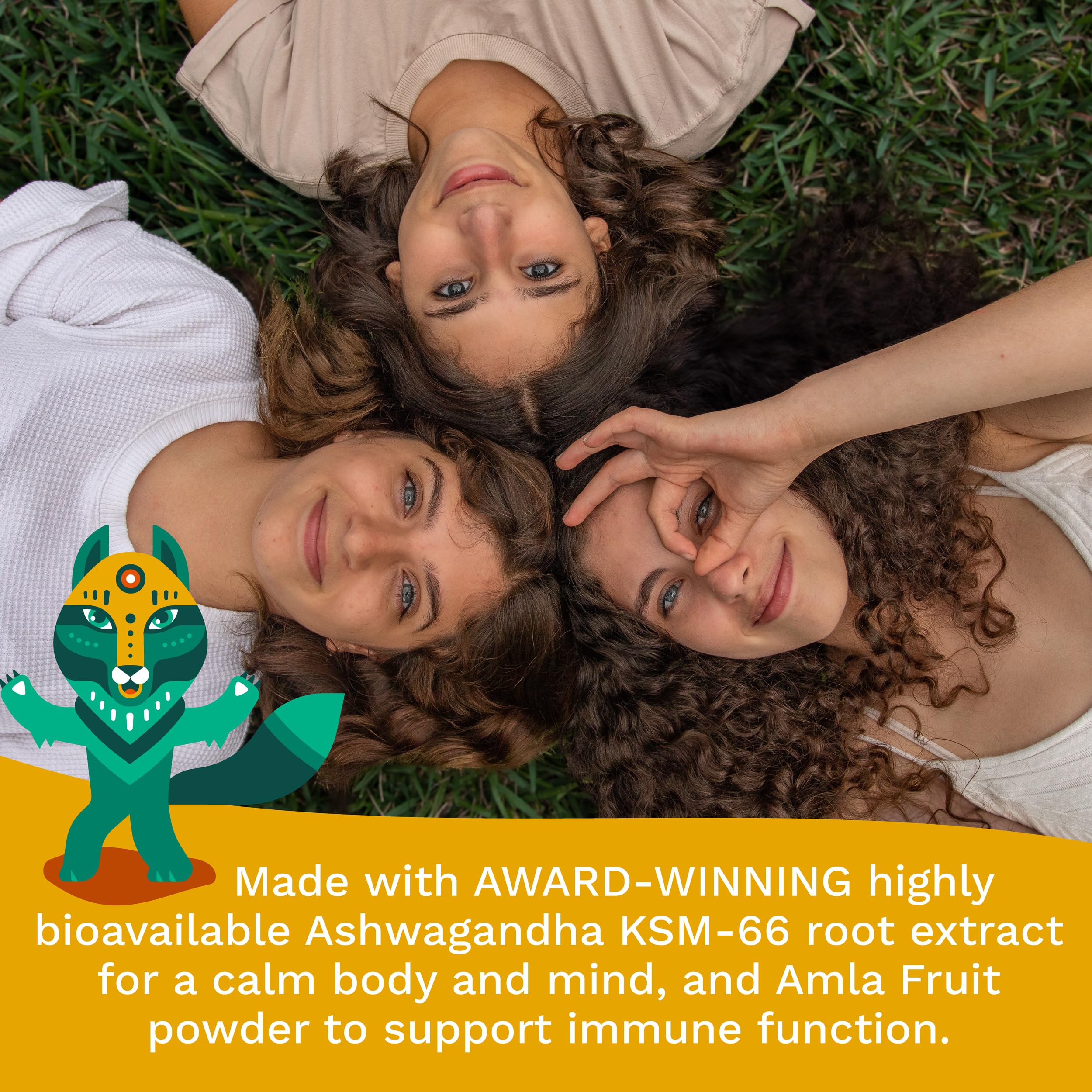 TRIBE ORGANICS kid-friendly gummies aid focus during study.