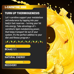 Trihood label closeup of L-Carnitine 3000 highlights clean ingredient lineup.