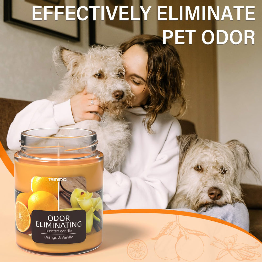 TRINIDa scent-profile image conveys a bright citrus-vanilla aroma without overpowering the room