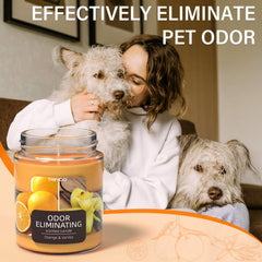 TRINIDa scent-profile image conveys a bright citrus-vanilla aroma without overpowering the room