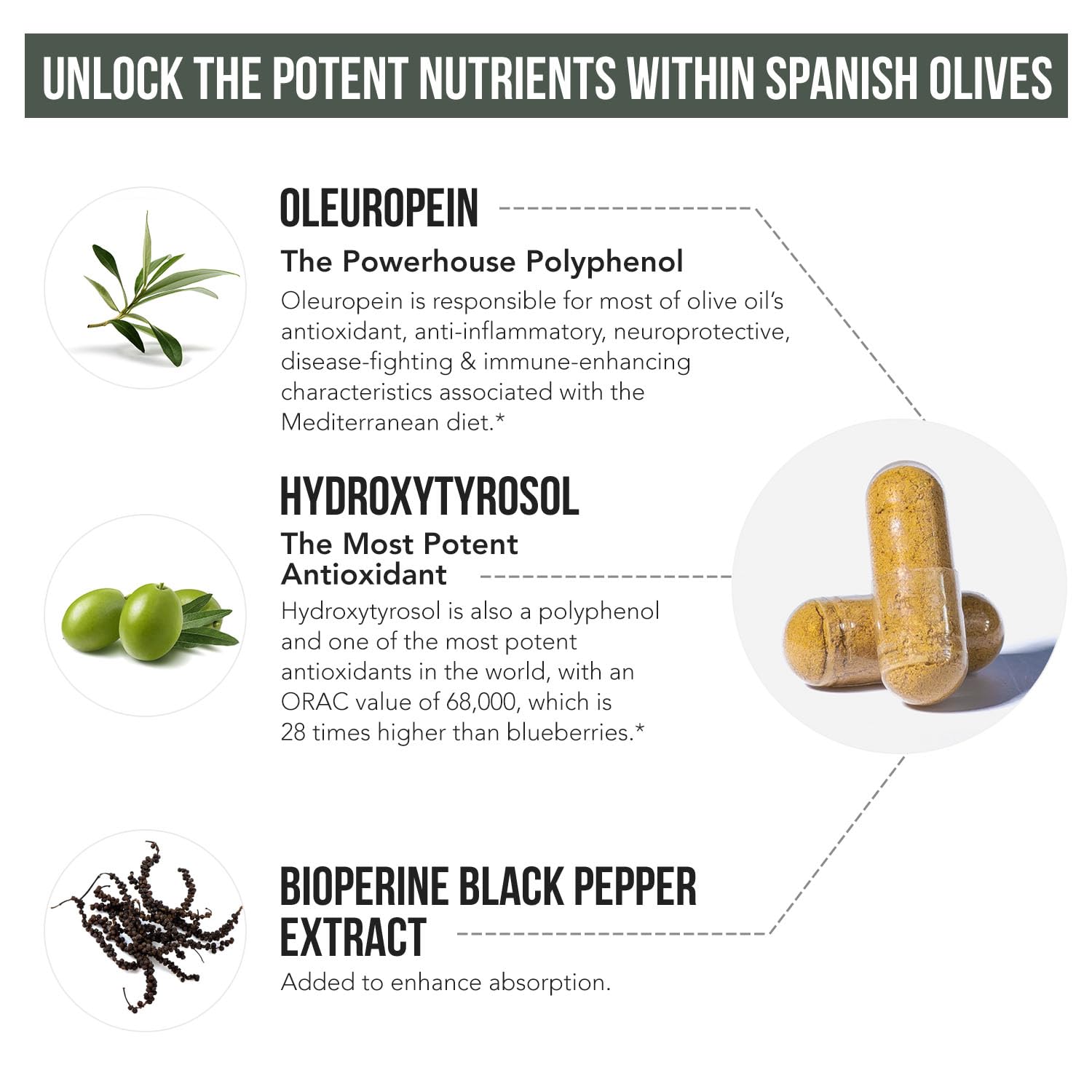 DNA-verified Spain origin seal on Total Olive bottle