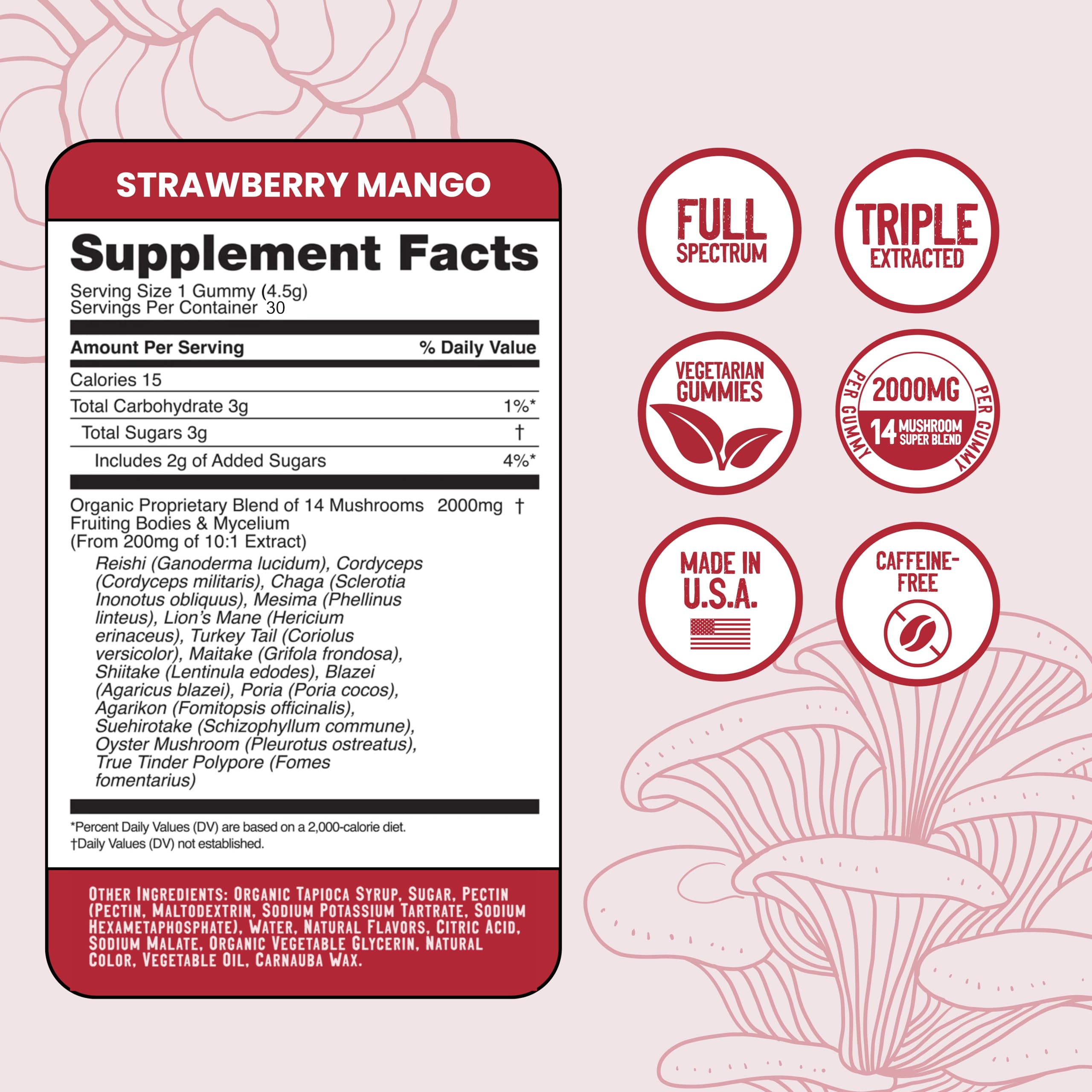 Troomy Daily ingredients-panel emphasizes natural, organic mushroom sources.
