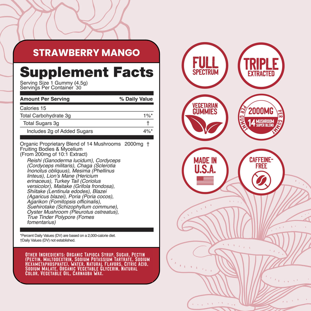 Troomy Daily ingredients-panel emphasizes natural, organic mushroom sources.
