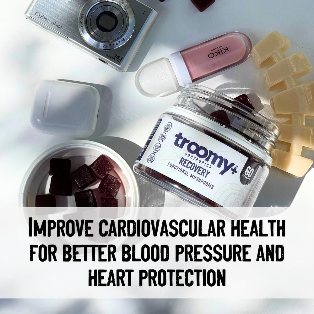 Troomy Recovery Reishi mushrooms ingredient emphasizes immune comfort and vitality possibilities