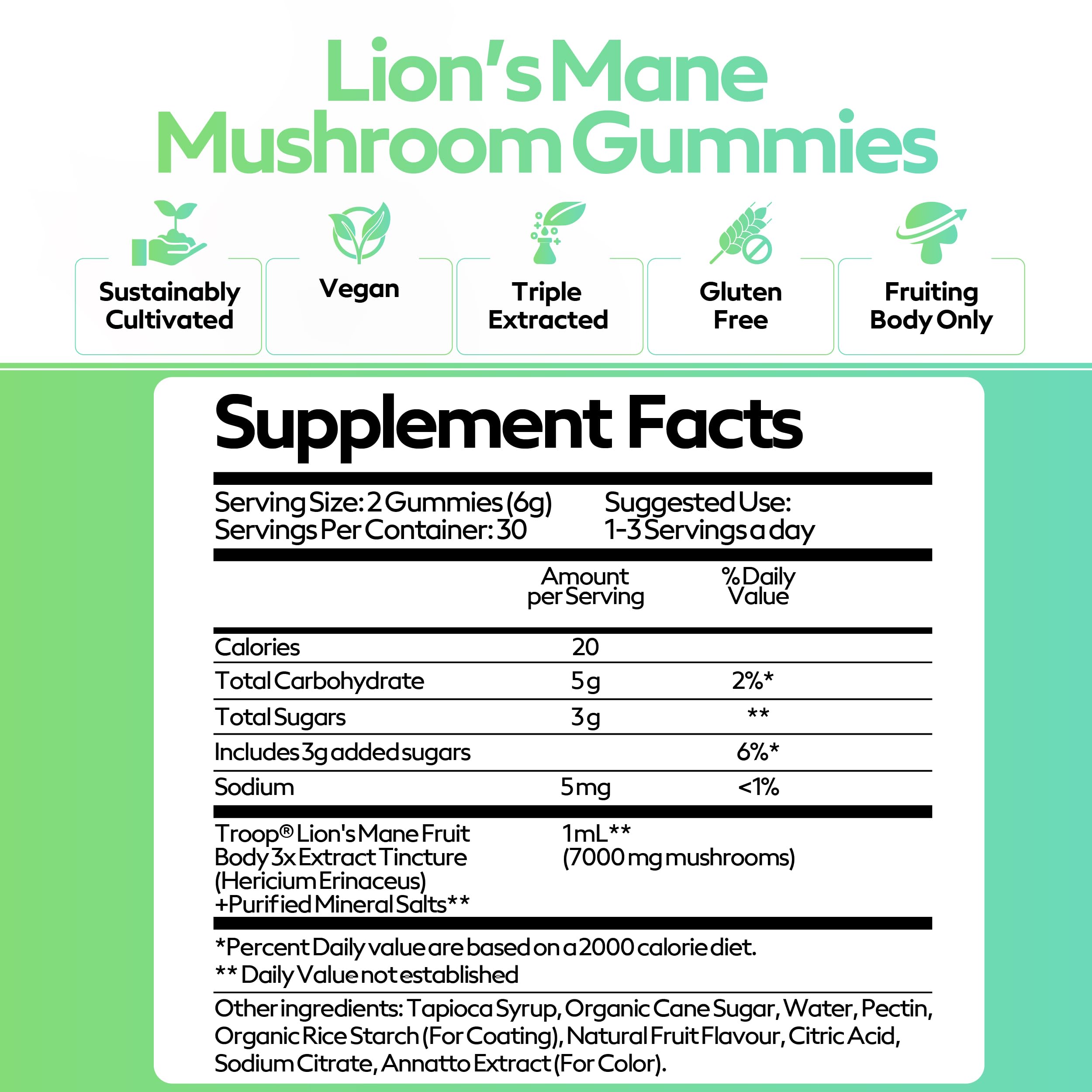 Troop Lion's Mane energy-boost image suggests steady daytime focus.