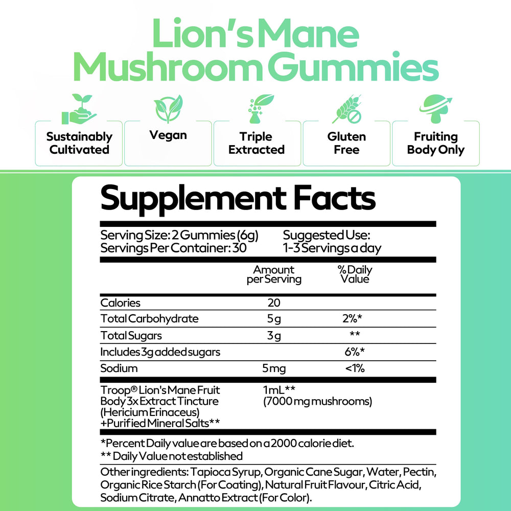 Troop Lion's Mane energy-boost image suggests steady daytime focus.