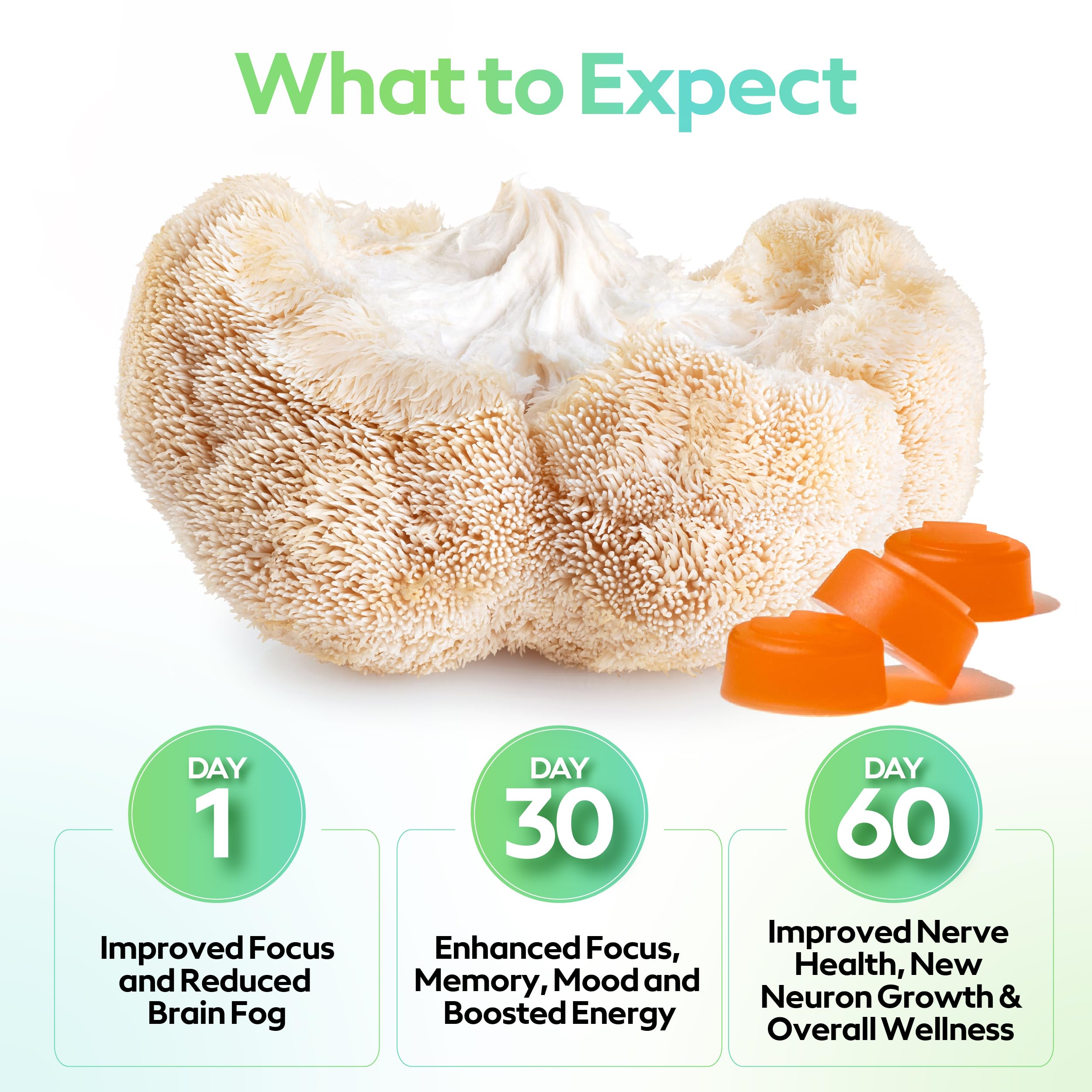 Troop Lion's Mane gummies closeup highlights peach mango flavor and energy support.