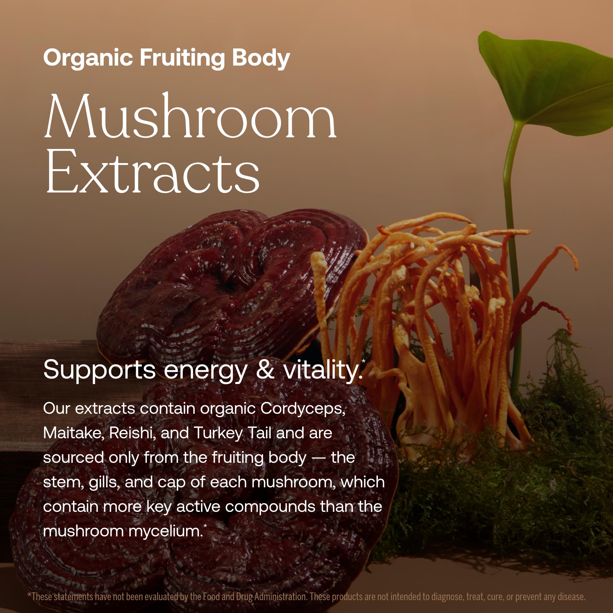 True Grace adaptogenic herbal blend with holy basil and ashwagandha for resilience.