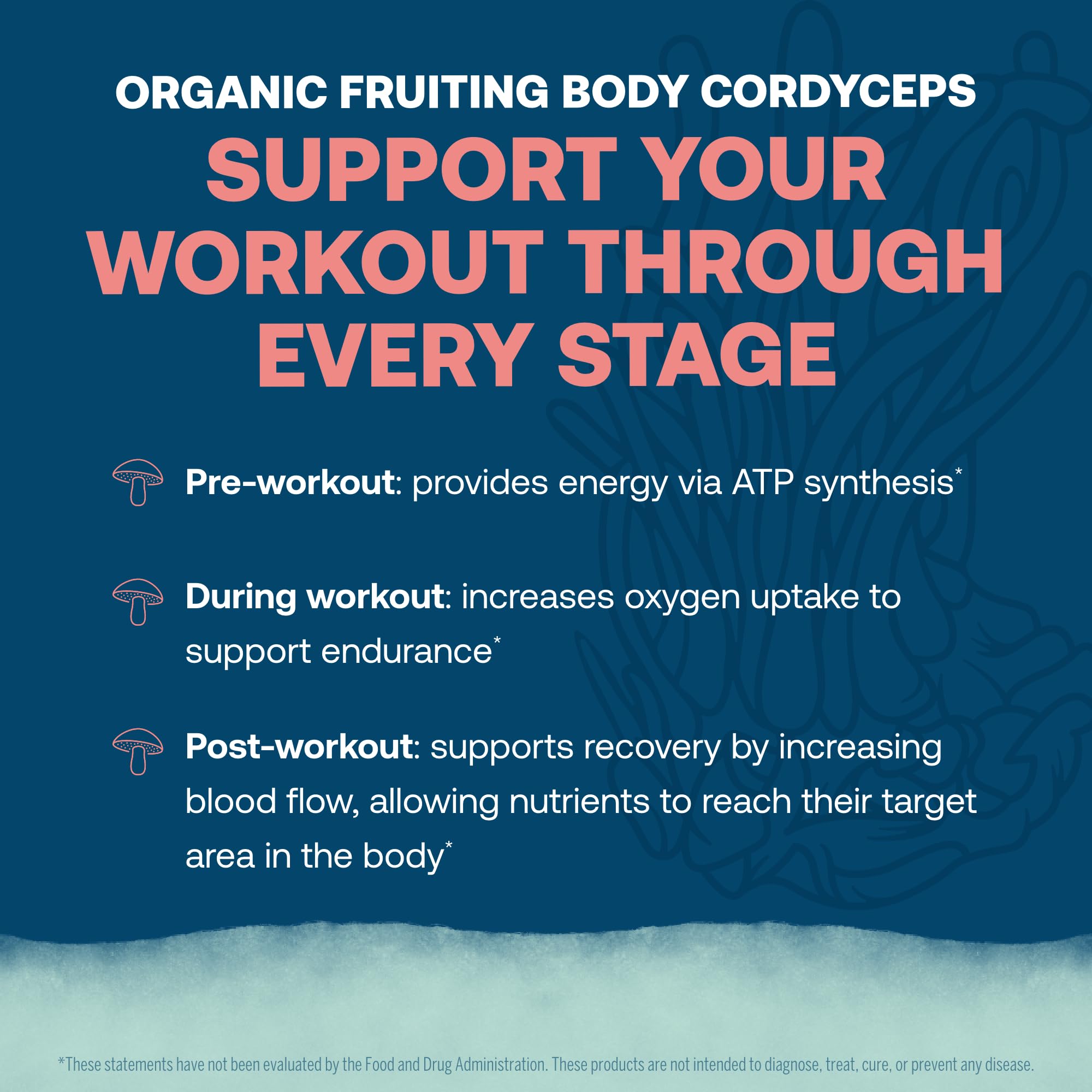Cordyceps mushroom and natural ingredients shown with ElectroMag packaging