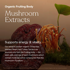 Adaptogenic blend of ashwagandha and holy basil in True Grace One Daily for stress resilience
