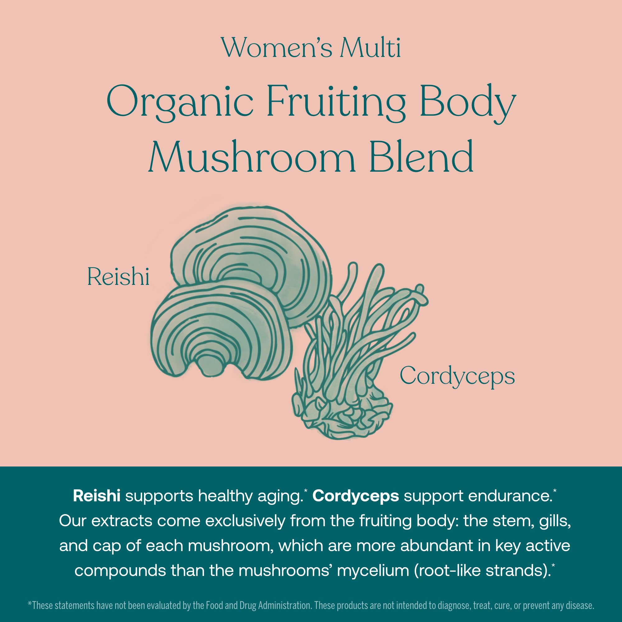 True Grace organic mushroom blend close-up for vitality and immune support.