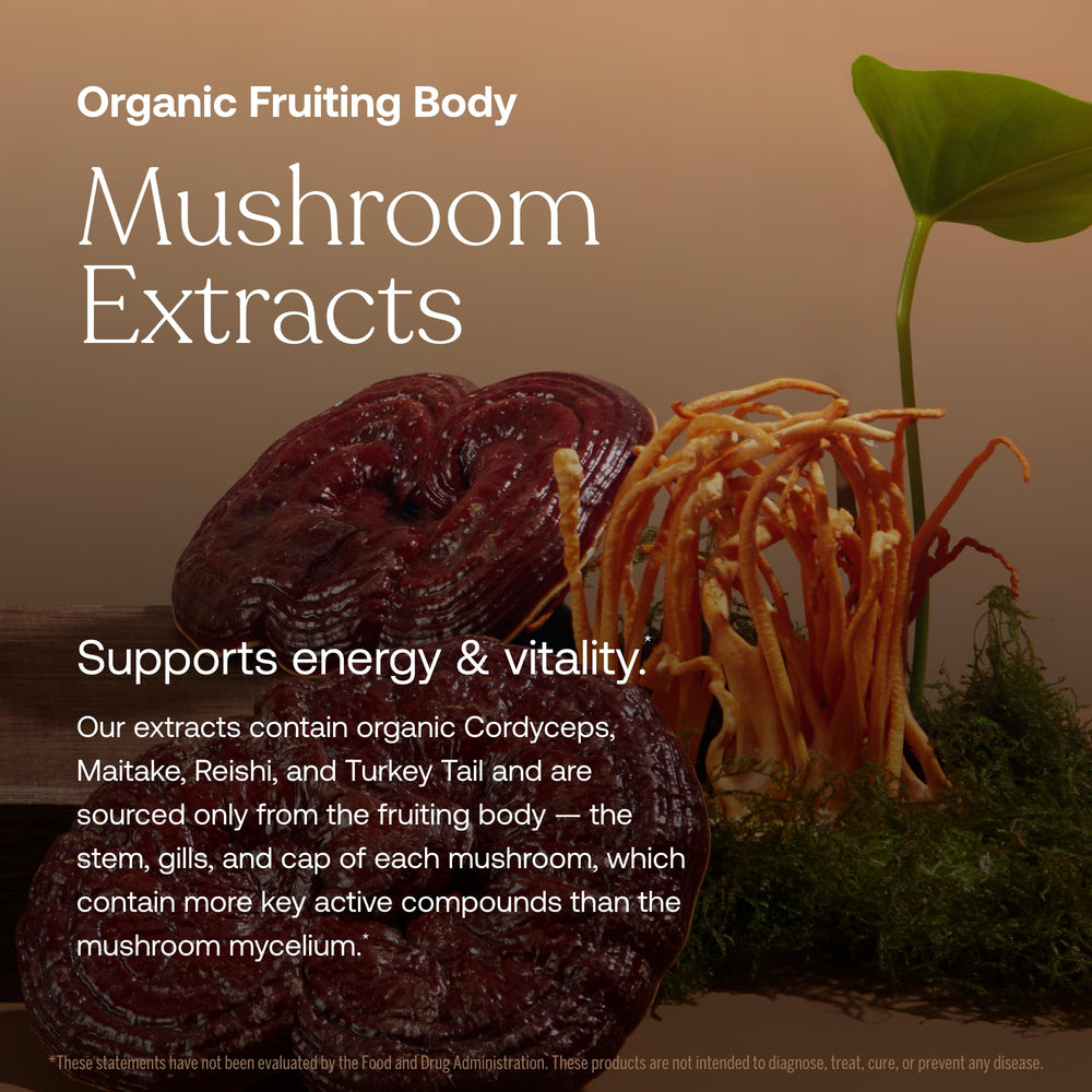 True Grace Organic Mushroom Blend extracts image emphasizes beta glucans for daily vitality.