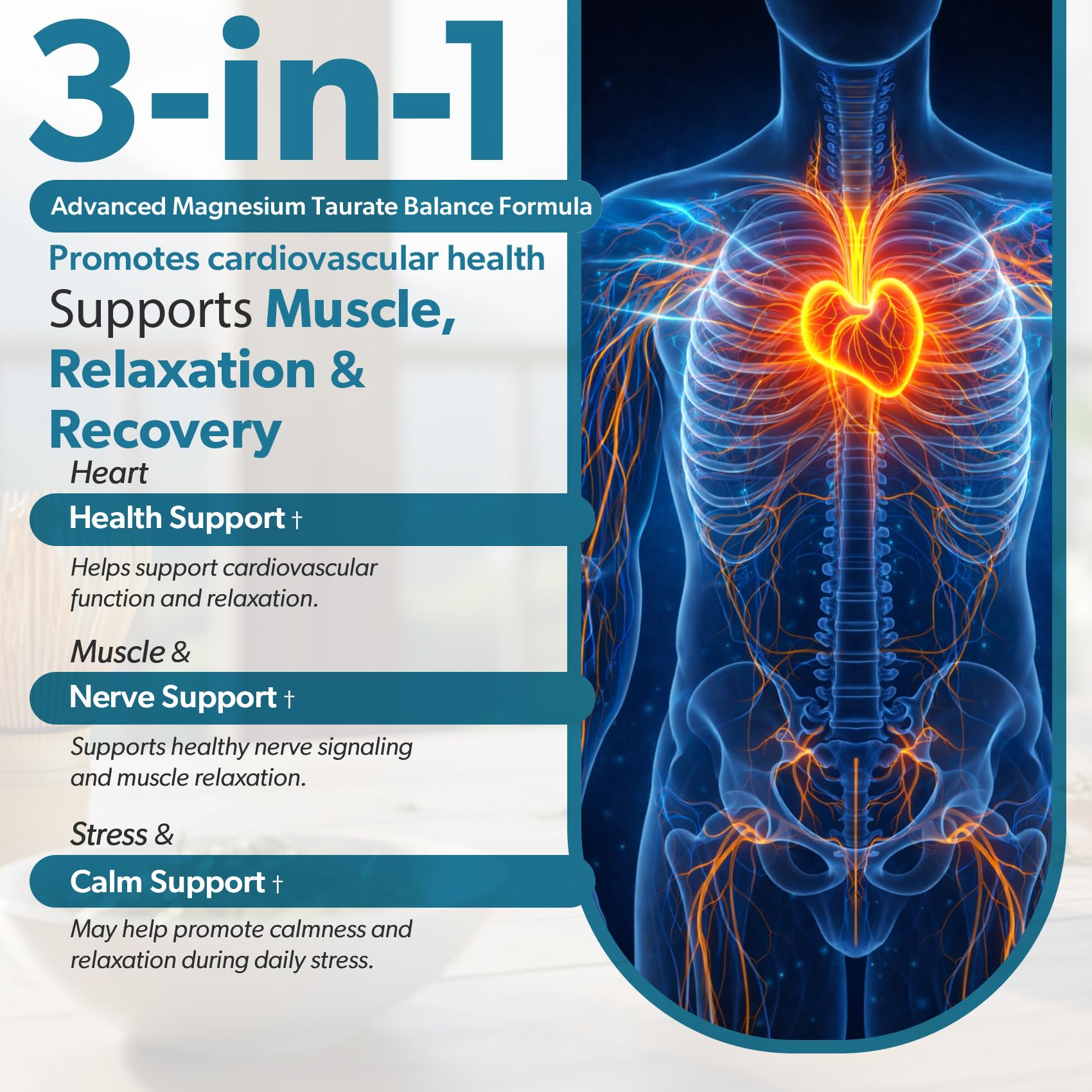 TRUEMED magnesium taurate capsules closeup highlighting high absorption for steady energy.