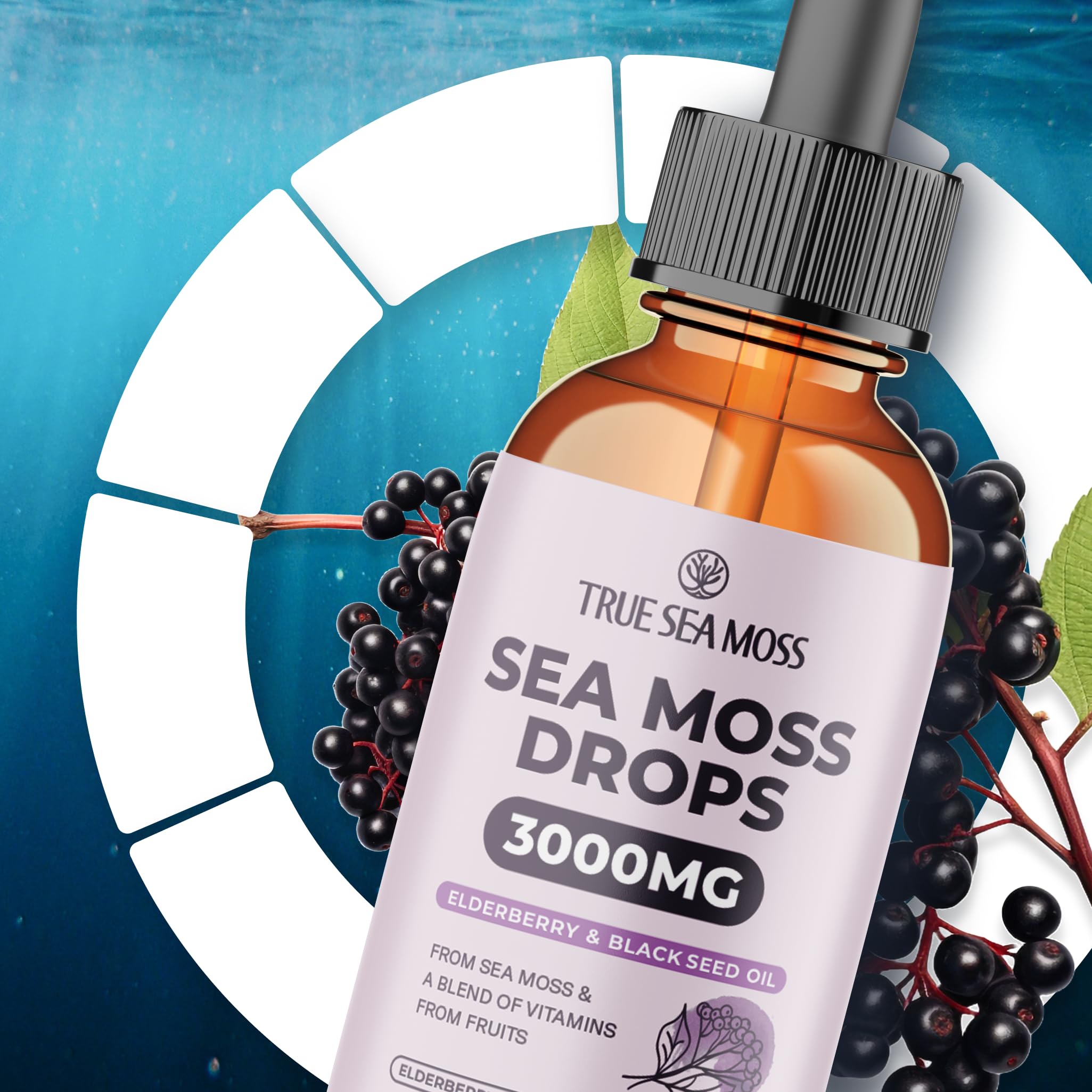 TrueSeaMoss travel-friendly bottle shown for on-the-go wellness.
