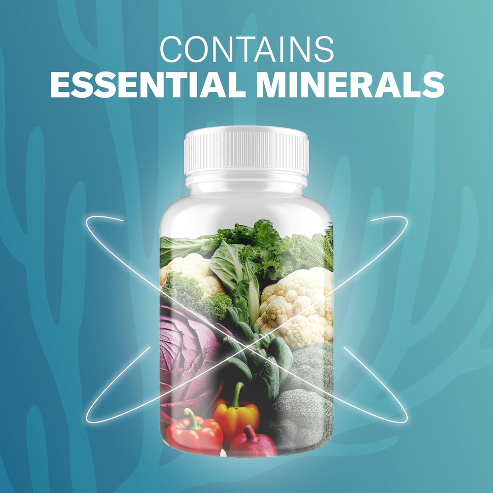 TrueSeaMoss capsules close-up showing clean formulation.