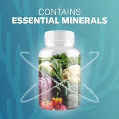 TrueSeaMoss capsules close-up showing clean formulation.