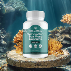 TrueSeaMoss ingredients fruit extracts close-up highlighting natural minerals.