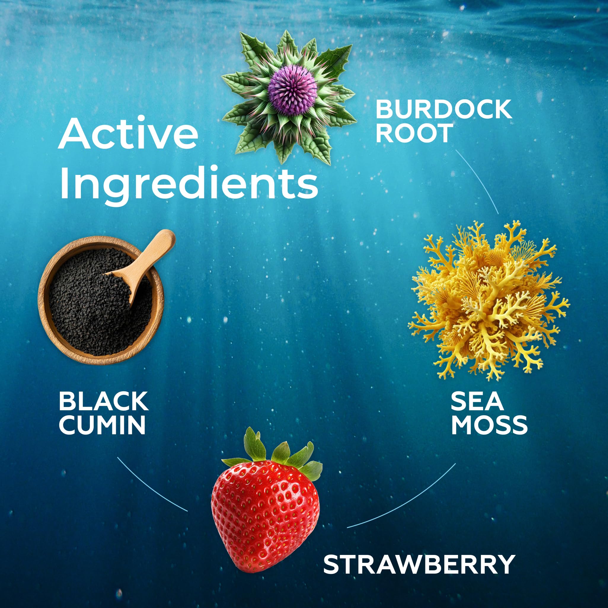 TrueSeaMoss liquid format for simple ingestion without capsules.
