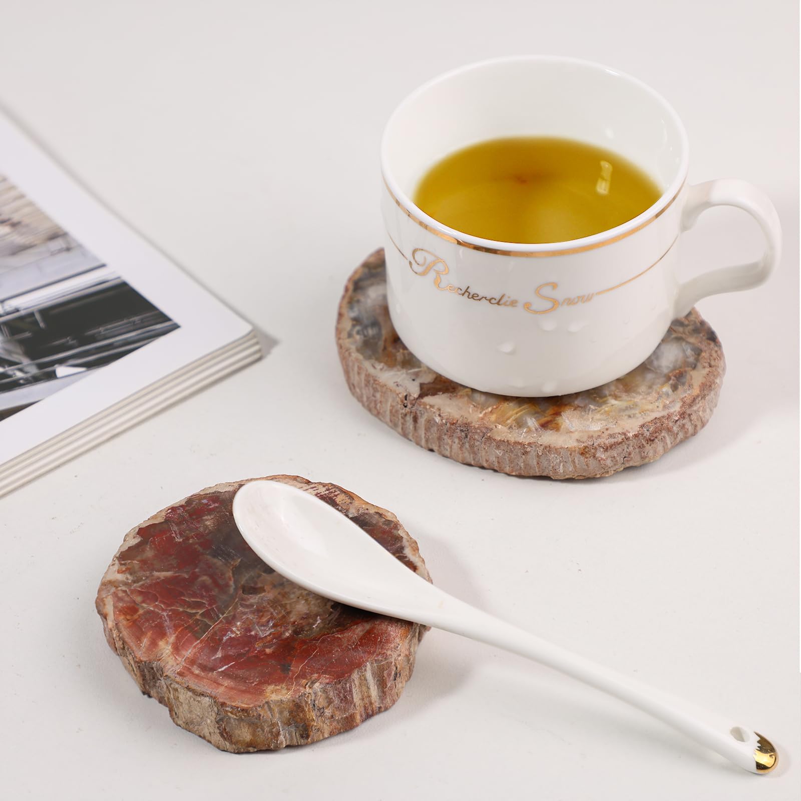 TUMBEELLUWA gift-ready petrified wood slab packaging for nature lovers