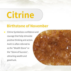 TUMBEELLUWA unpolished citrine geode showcases raw beauty on shelves.