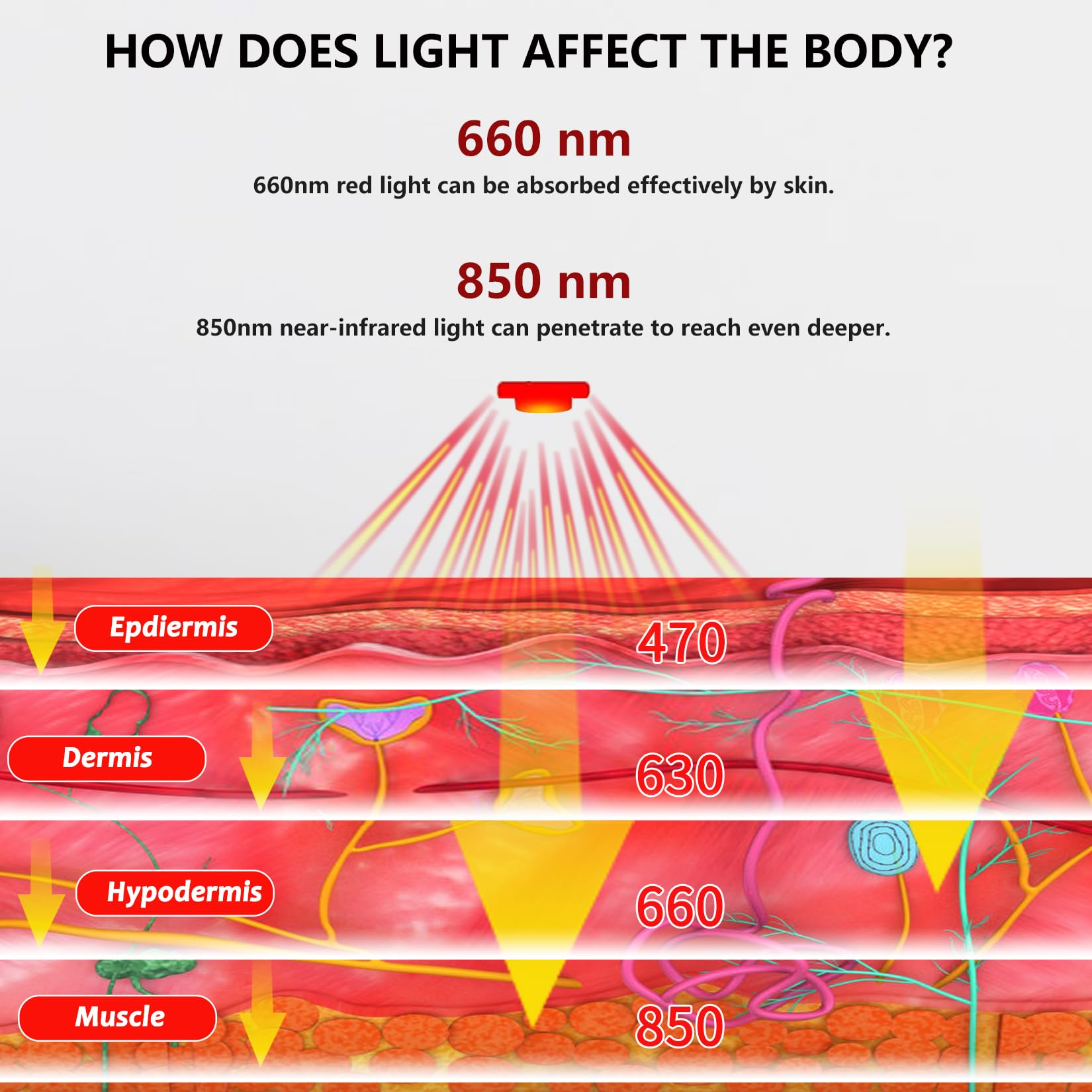 TUOYR red and infrared light combo offers flexible three mode therapy.