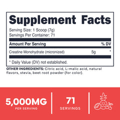 Type Zero Creatine Tropical Punch scoop ready for precise dosing
