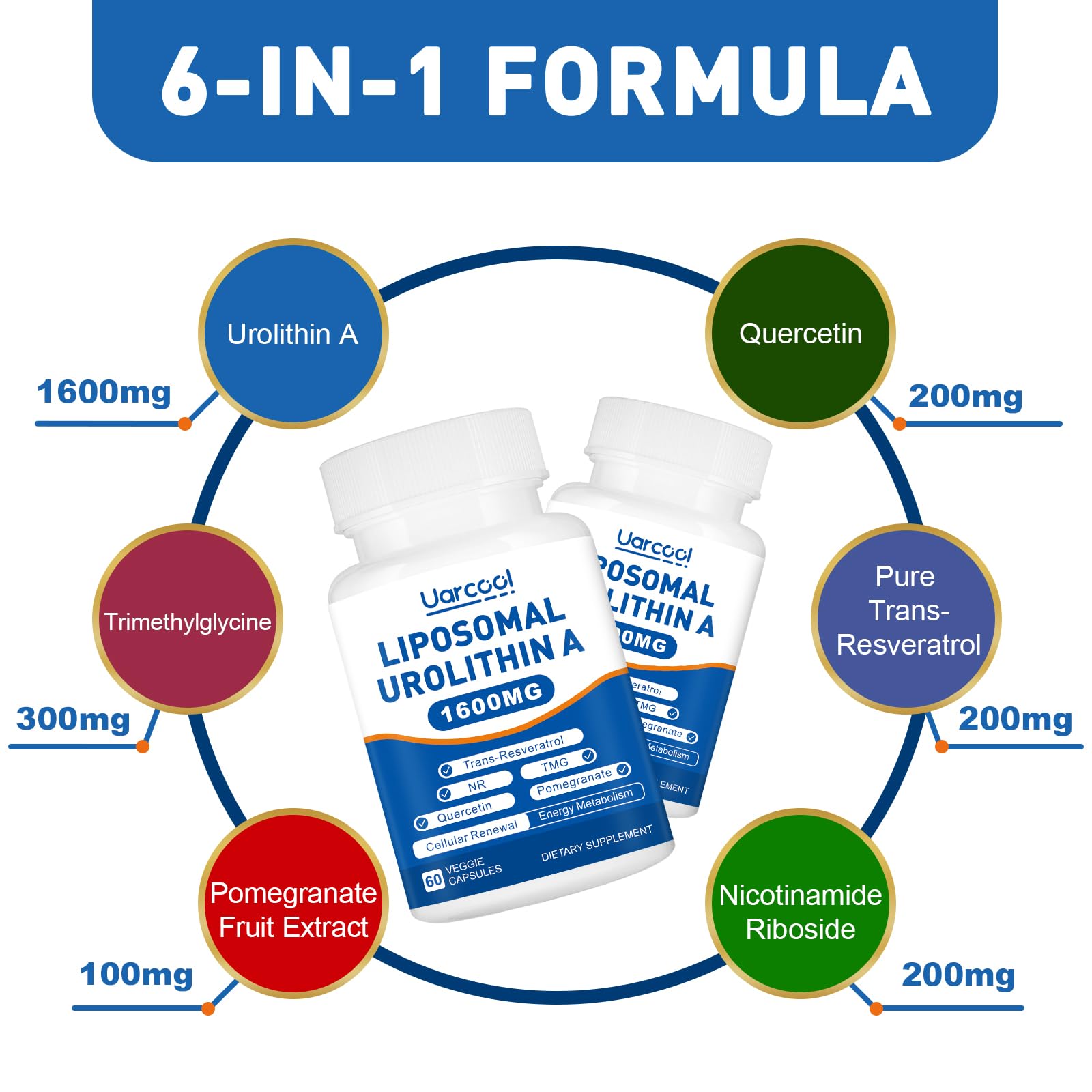Uarcool Liposomal Urolithin A capsules for easy daily energy support.