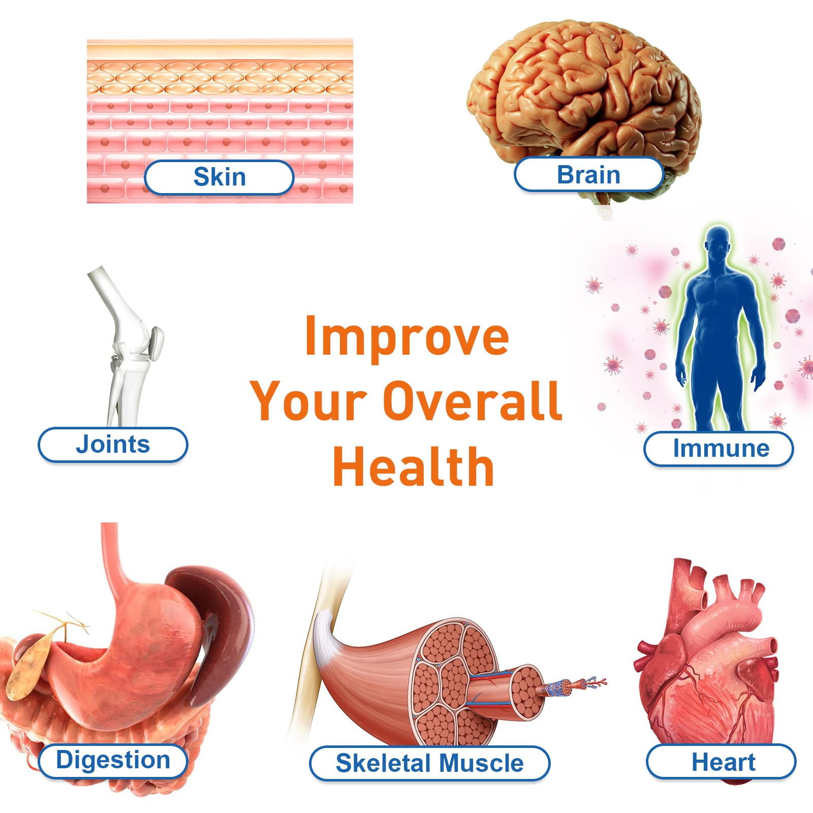 Dosage instructions for Uarcool Liposomal Urolithin A supporting a routine.