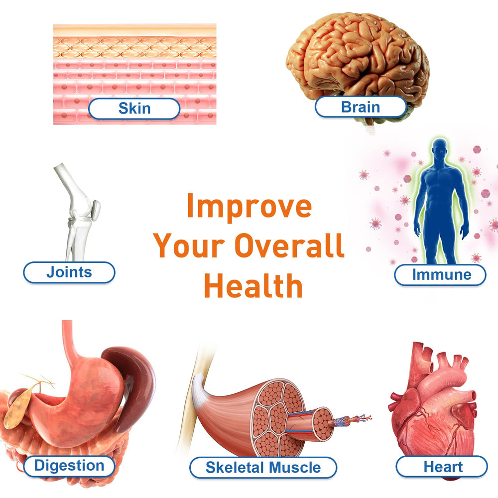 Dosage instructions for Uarcool Liposomal Urolithin A supporting a routine.
