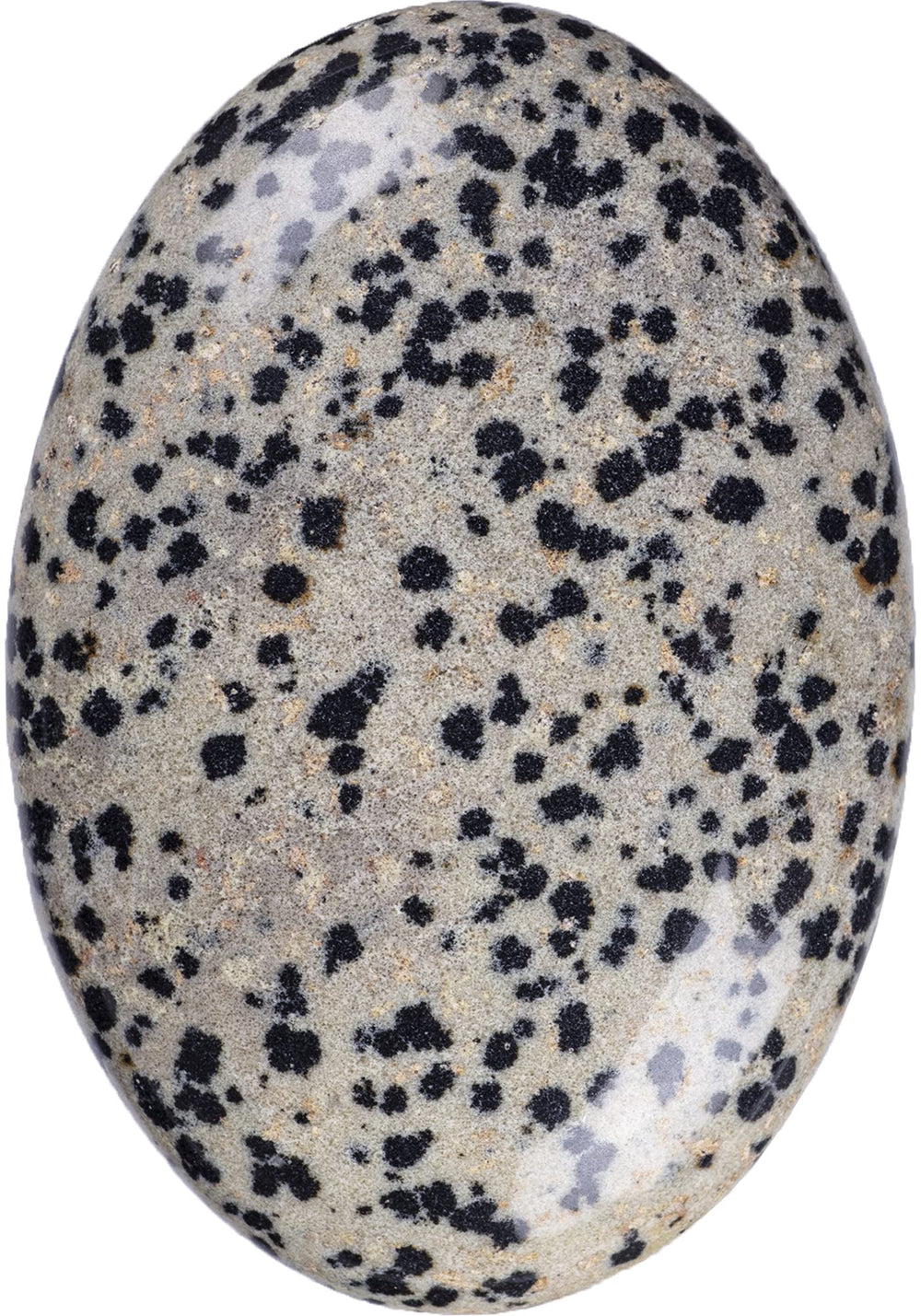 UFEEL Dalmatian Jasper palm stone oval in hand for meditation and grounding