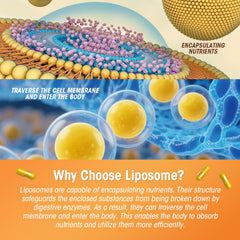UIMISX black pepper and ginger blend boosts absorption potential