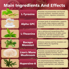 UIMISX Lion’s Mane mushroom blend image suggesting steady energy and attention.