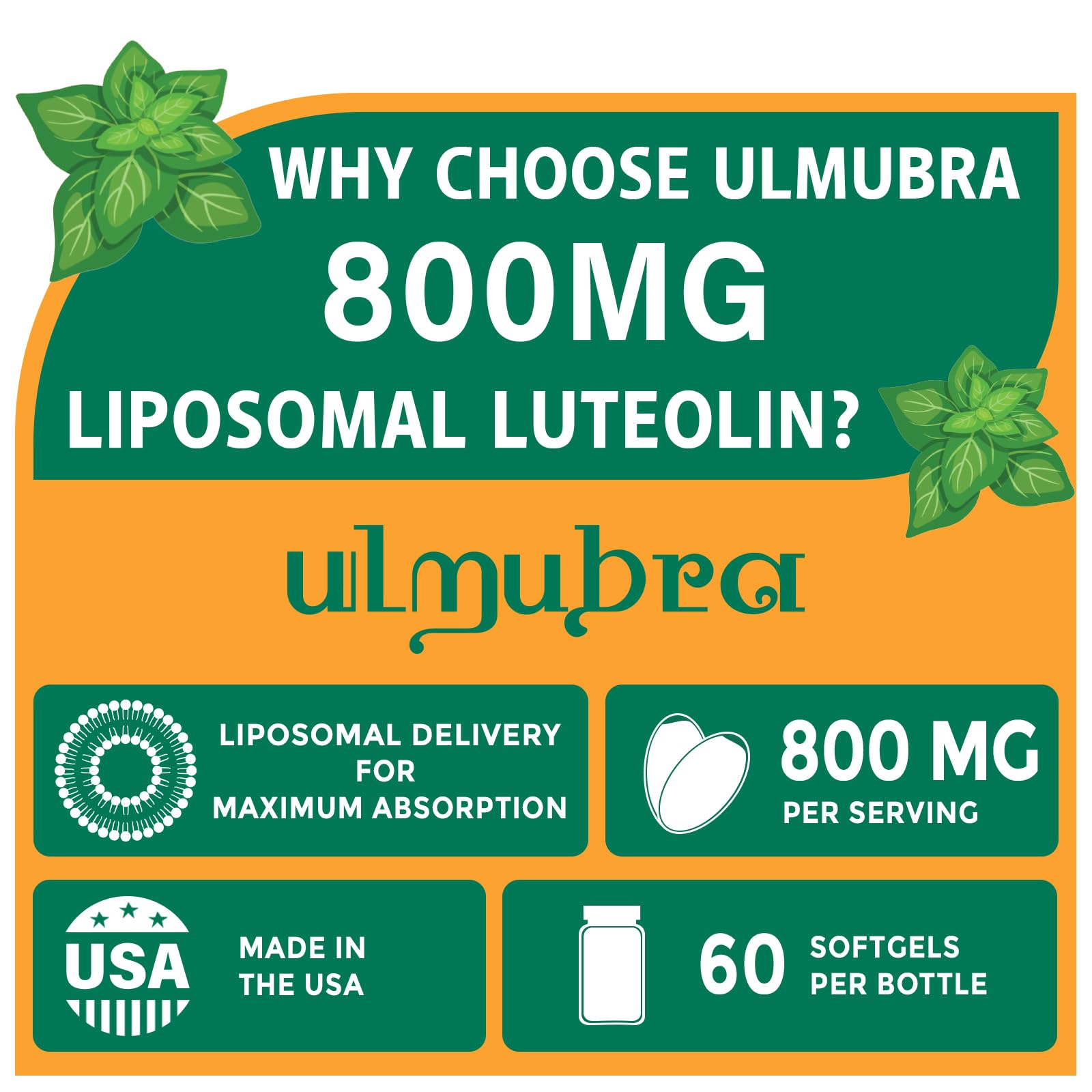 Ulmubra liposomal luteolin softgel label highlights premium quality.