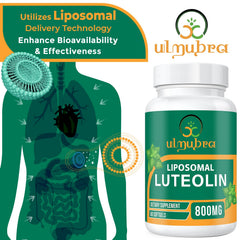 Ulmubra liposomal luteolin capsules designed for enhanced absorption.