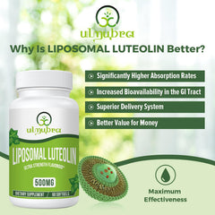 Close-up of Ulmubra softgels highlighting the high-potency formula.