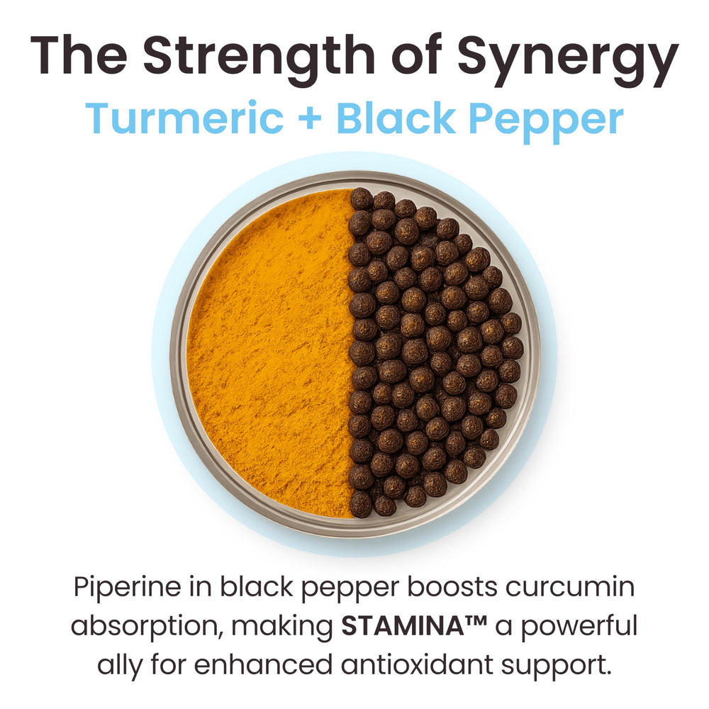 Serving scoop of Ultisana Stamina ready for a daily dose.