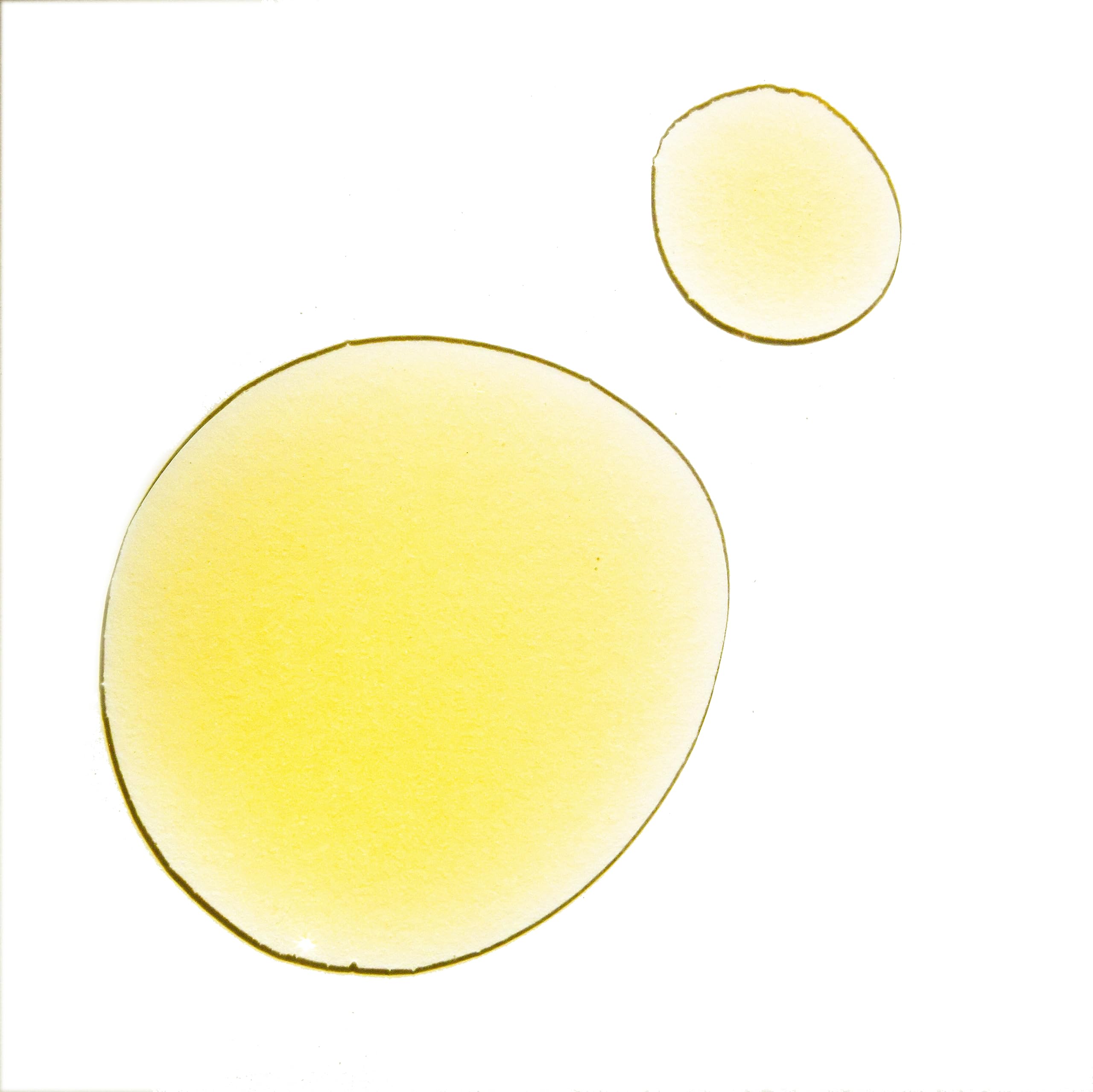 UMA Pure Rest label closeup highlights a 100% natural Ayurvedic blend for rest.