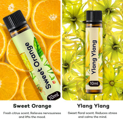 Umisleep high-potency oils set box showcasing premium trio.
