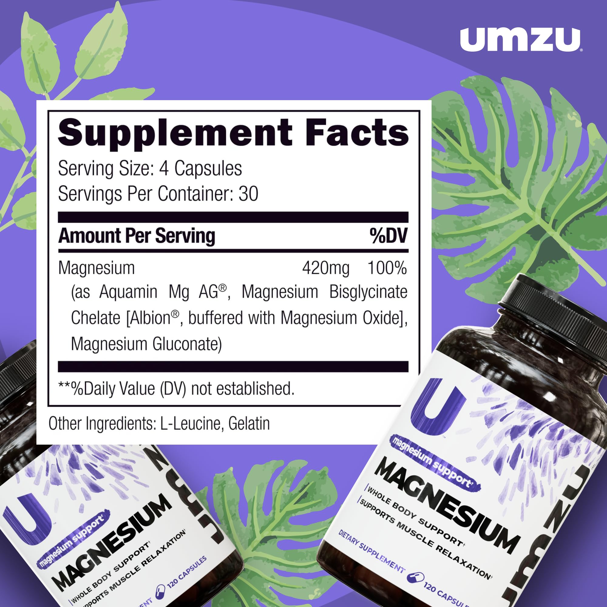Graphic shows UMZU Daily Magnesium's three bioavailable forms for better absorption.