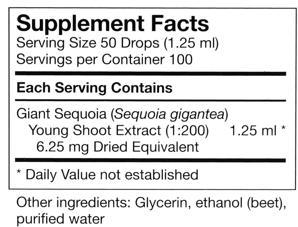 Macro of gemmotherapy maceration showing 1X dilution step for potent extracts.
