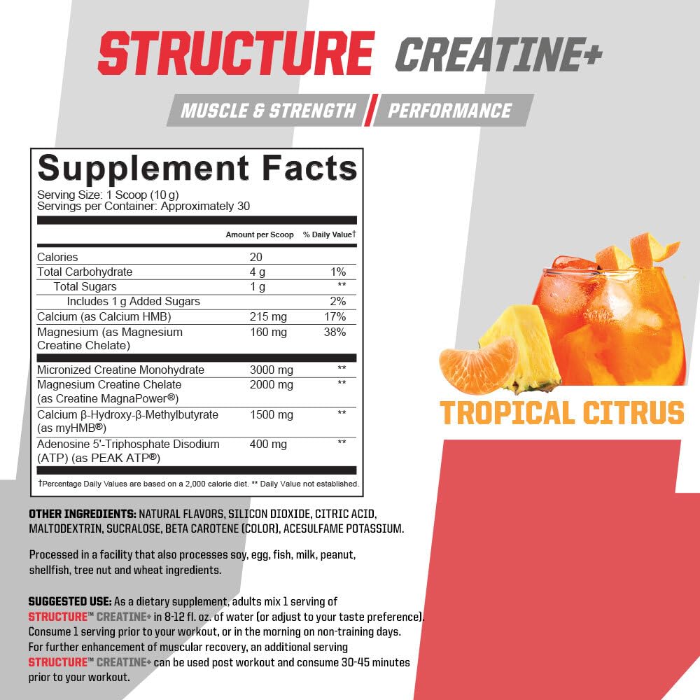 Undefined Nutrition Structure Creatine Plus label closeup shows optimized blend for workouts.