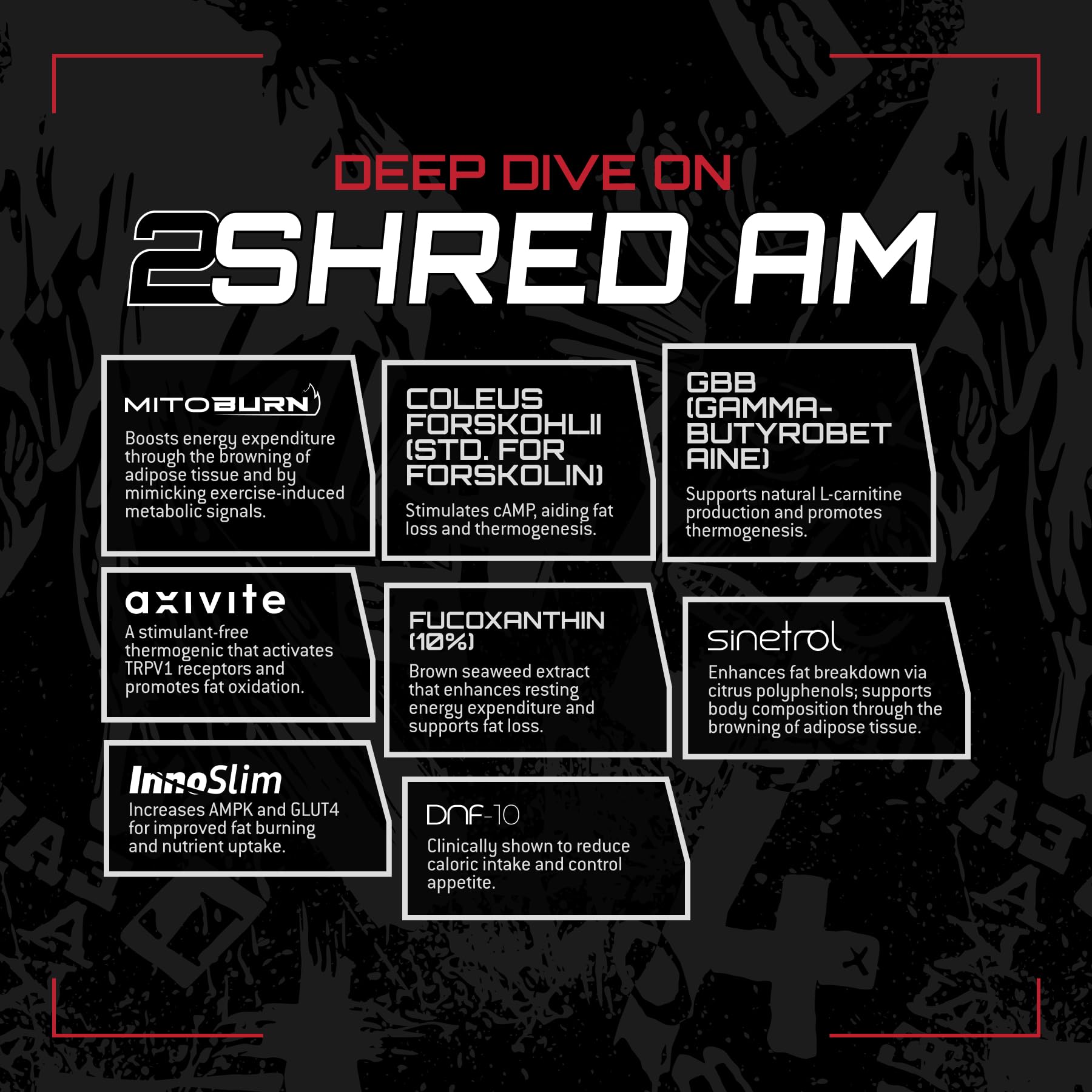 Unmatched 2Shred PM packaging emphasizes stress balance and rest support.