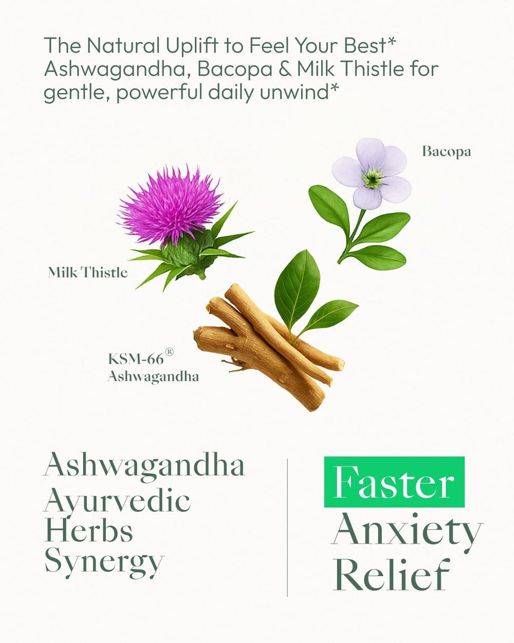 Pouring Upbe Ashwagandha capsules to illustrate easy intake